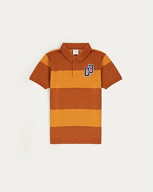 Broad Striped Polo Shirt