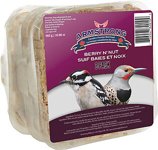Armstrong Berry N' Nut Suet 3-Pack