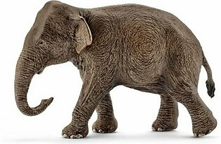 Figure "female of the Asian elephant"