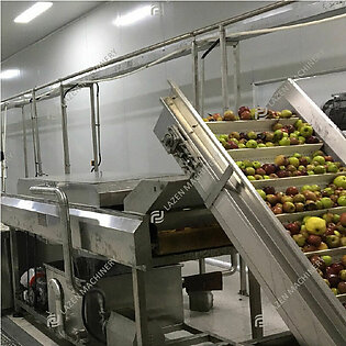 Complete Fruit Juice Production Line