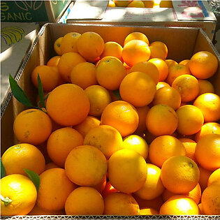 Fresh Citrus