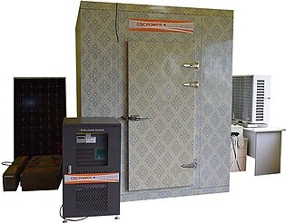 Solar powered cold storage containerized freezer for fruit