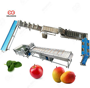Factory Price Bubble Strawberry Mango Salad Cleaning Drying Sorting Line Equipment Dryer Spinach