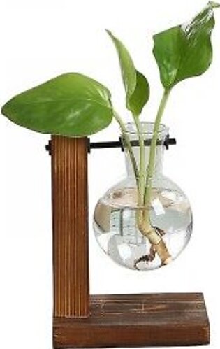 Glass Flowerpot with Vintage Wood Frame Holder for Hydroponic Plants