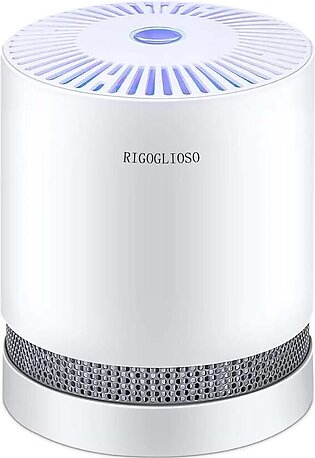 Air Purifier Cleaner for Home