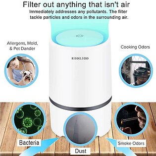 Air Purifier Cleaner for Home