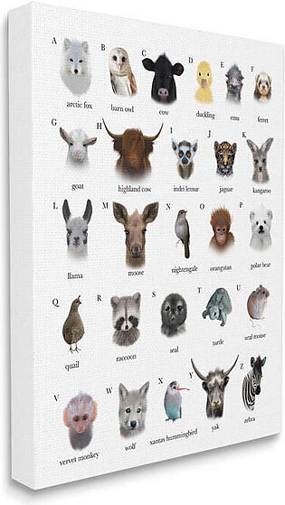 Alphabet Chart of Wild Animals Over White 30" x 24" Gallery Wrapped Wall Art