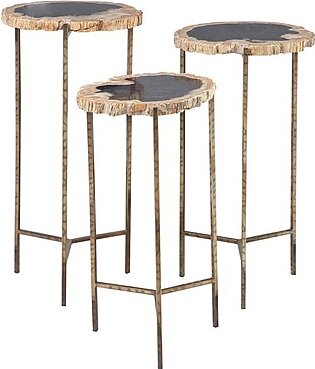 Petrified Wood Contemporary Accent Tables Set of 3