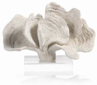 Kai 7" Tall Coral Sculpture on Acrylic Base - White