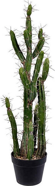 34" Artificial Green Cactus in Plastic Pot