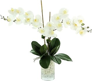 24" Artificial White Orchids and Bamboo in Glass Vase with Rocks and Acrylic Water