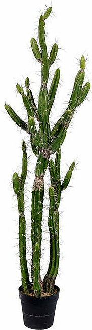 56" Artificial Green Cactus in Plastic Pot