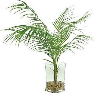 28" Artificial Areca Palm in Vase with Rocks and Acrylic Water