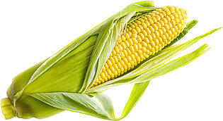 Sweet Corn - Corn on the Cob (each)