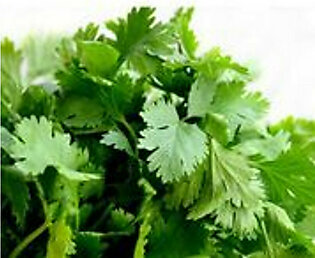 Organic Cilantro (By the Bunch)