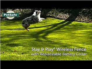 Stay & Play Wireless Fence Replaceable Battery Receiver Collar