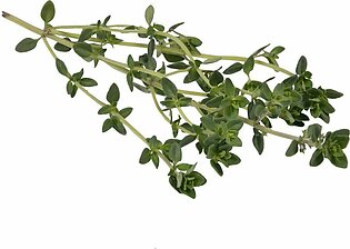 Thyme, Fresh, 1 Lb Package