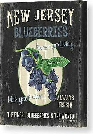 Fresh Berries 1 Canvas Print