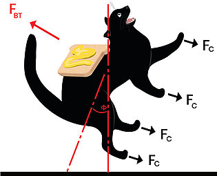 Buttered Cat Paradox Math Physics Cat Throw Pillow