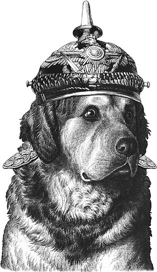 Military Dog Duvet Cover