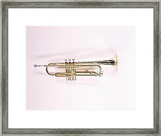 Trumpet Framed Print