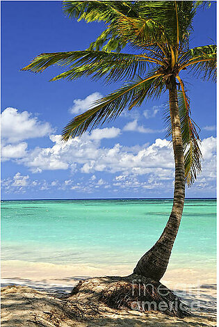 Beach of a tropical island Fleece Blanket