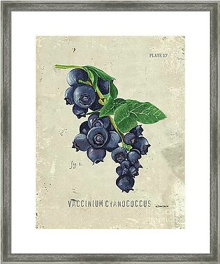 Scientific Fruit 1 Framed Print