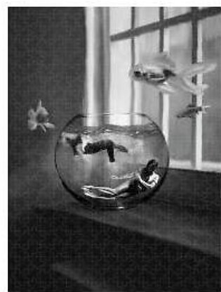 Two Lost Souls Swimming in a Fishbowl Jigsaw Puzzle