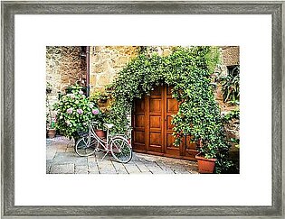 Wooden Gate With Plants In An Ancient Framed Print