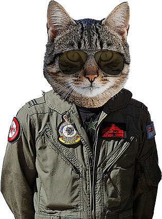 Fighter pilot cat Throw Pillow