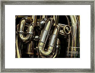 Detail of the brass pipes of a tuba Framed Print