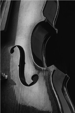 Violin In Black And White #3 Shower Curtain