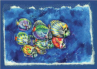 Fish In Net Art Print