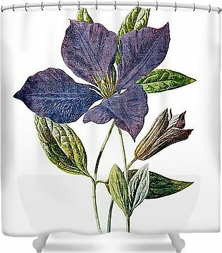 Purple Clematis Flower Shower Curtain