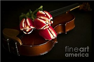Tulips and Violin Shower Curtain