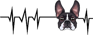 Dog Heartbeat I Funny Boston Terrier Fleece Blanket