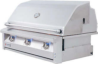 Renaissance Cooking Systems 42" ARG Stainless Built-In Gas Grill - LP