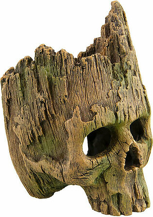 Underwater Treasures Wood Skull