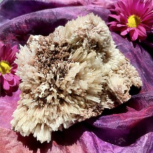Red and White Scolecite Spiritual Strength Cluster