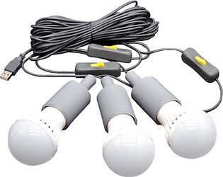 LION Energy 3 LED Light Bulb String