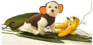 Dog Costume - Monkey Pet Halloween Costume - X-Large (XL)