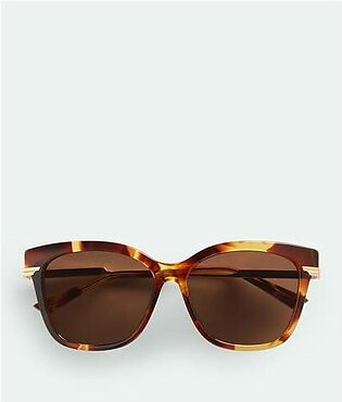 Burgundy/brown
                                    Classic Square Sunglasses