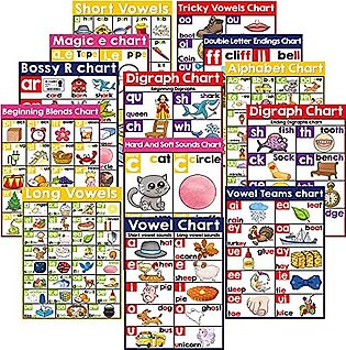 13 English Phonics Poster Language Arts Charts for Kids Toddler Learning Vowels Posters for Kindergarten, Preschool, Primary School Alphabet Bulletin Board Set Classroom Wall Decoration (16 x 11 Inch)